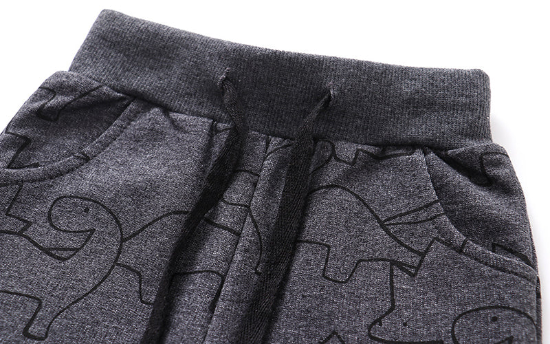 Little Maven Jungen Jogginghose mit Dinosaurier-Print
